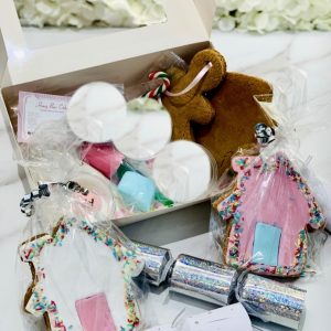 Christmas Letterbox Gingerbread Decorating Kit